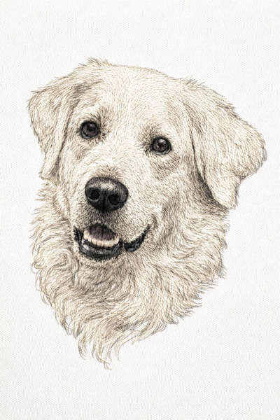 Digital Drawing Portrait 