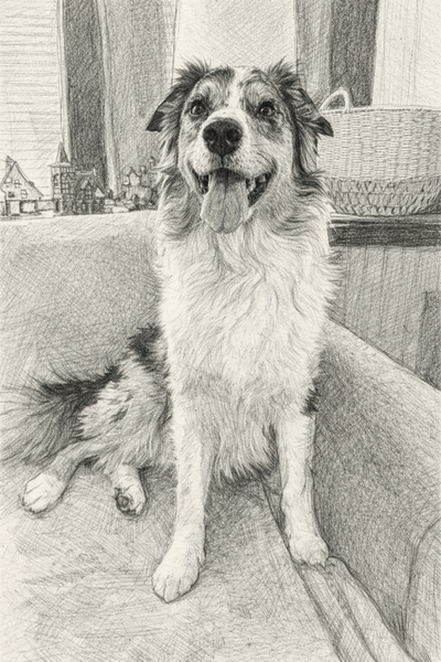 Digital Sketch 